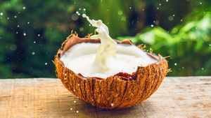 Coconut Milk Benefits: ইমিউনিটি বাড়ানো থেকে হার্ট সুস্থ রাখা, হাজারো সমস্যার সমাধান লুকিয়ে নারকেল দুধে!
