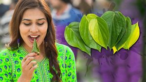 ডায়াবেটিস থেকে স্ট্রেস কমানো, পান পাতার রয়েছে হরেক গুণ!