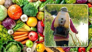 ফল ও সবজি রাসায়নিক মুক্ত করুন ঘরোয়া উপায়ে, রইল টিপস