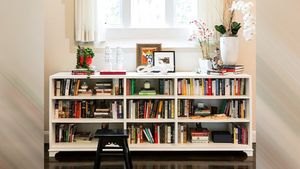 বইয়ে ঘুণ ধরে যাচ্ছে? বর্ষায় সাধের বইয়ের যত্ন নেবেন কী করে?