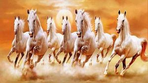 বাড়িতে রাখুন ৭ ঘোড়ার ছবি, দূর হবে সব বাধা-বিপত্তি ও আর্থিক অনটন!