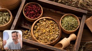 চুল পড়া কমবে, লম্বাও হবে তাড়াতাড়ি! এই ৭ ভেষজই দেখাবে কামাল