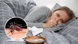 Home Remedies For Dengue: ঘরোয়া টোটকাতেই কাবু হবে ডেঙ্গু! মেনে চলুন ৫ আয়ুর্বেদিক টিপস