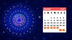 Weekly Numerology (27 August-02 September): কেমন কাটবে আগামী সাত দিন? দেখে নিন নিউমেরোলজি গণনা