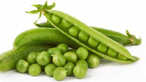 Green Peas Benefits: রোজ কড়াইশুঁটি খেলেই হু হু করে কমবে ওজন!