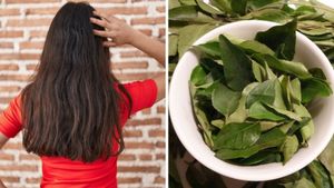 চুল ঝরছে প্রচুর? চুলে পাক ধরছে? যত্ন নেবে কারি পাতার তেল!