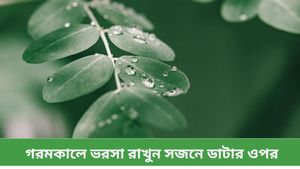 কঠিন রোগকে বশে রাখতে ও ফিট থাকতে গরমকালে ভরসা রাখুন সজনে ডাটার ওপর