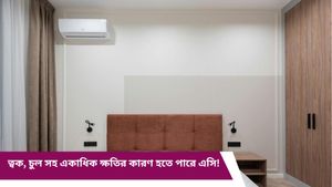 দিনরাত থাকছেন এসিতে! অজান্তেই ডেকে আনছেন বড় বিপদ