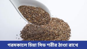 প্রচণ্ড গরমে শরীর ঠাণ্ডা রাখতে খান সুপারফুড চিয়া সিড!