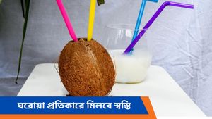 গরমের দাপটে পেট খারাপ? কোন কোন খাবার পেট ঠান্ডা রাখবে জানেন