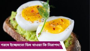 সানডে হোক বা মানডে, রোজ খাচ্ছেন আন্ডে! গরমে ডিম খাওয়া আদেও নিরাপদ? জানুন