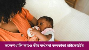 সন্তানকে ফিডিং বোতলে দুধ খাওয়াতে চান? কতটা সুরক্ষিত জানুন