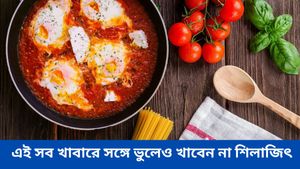 আপনি কি শিলাজিৎ খাচ্ছেন? সাবধান! এই সব খাবারে সঙ্গে ভুলেও খাবেন না শিলাজিৎ