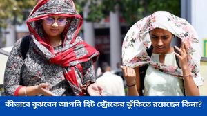 তীব্র তাপপ্রবাহে বাড়ছে হিট স্ট্রোকের ঝুঁকি! সুস্থ থাকতে কী করবেন 