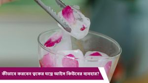 কাঠফাটা গরমে ত্বকের র‍্যাশ-জ্বালাভাব? এক টুকরো বরফেই মিলবে স্বস্তি