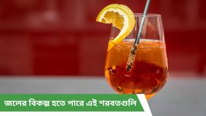 গরমে এই পানীয়গুলি খেলে আপনিও থাকবেন হাইড্রেটেড ও সতেজ