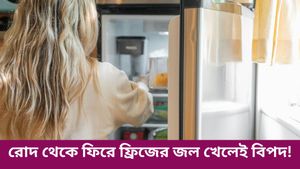 বাড়ি ফিরে আগেই ফ্রিজের জল খাচ্ছেন, এই অভ্যাস কতটা ক্ষতিকর জানেন কি? 