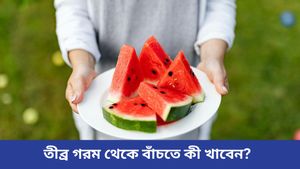  ভ্যাপসা গরমে সুস্থ থাকতে কী খাবেন আর কী খাবেন না? 
