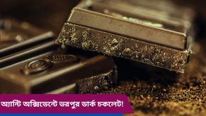 এনার্জি তো পাবেনই সঙ্গে কমবে স্ট্রেসও, ডার্ক চকলেটের উপকারিতা জানলে অবাক হবেন