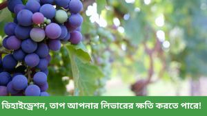 গ্রীষ্মের দিনগুলিতে আপনার লিভার ভালো রাখতে কী কী খাবেন?