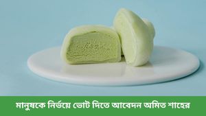 গরমে তৃপ্তি পেতে খান বাড়ির তৈরি কাঁচা আমের আইসক্রিম, দেখুন রেসেপি