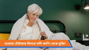 গ্রীষ্মকালীন সর্দি-কাশিতে ভুগছেন? ঘরোয়া টোটকায় মিলবে স্বস্তি
