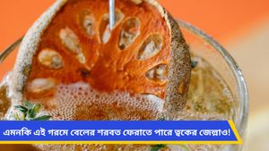 প্রচণ্ড দাবদাহে শরীর ঠাণ্ডা রাখতে খান বেলের শরবত! রয়েছে একাধিক স্বাস্থ্যগুণ
