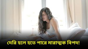 পেট ব্যথা, বমি বমি ভাব? লিভারের ক্ষতির আগেই চিনে নিন লক্ষণগুলি