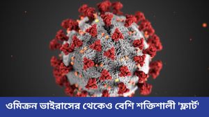 নতুন করে কোভিড-সংক্রমণ শুরু মহারাষ্ট্রে, করোনার নয়া ভ্যারিয়্যান্ট 'ফ্লার্ট' নিয়ে সতর্কতা