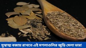 একমাত্র খাবারের স্বাদ বাড়াতে নয়, বরং পুষ্টিগুণেও ঠাসা এই মশলাগুলি!