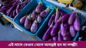  জ্যৈষ্ঠ মাসে বেগুন খেলে হয় দোষ, বাড়ে রোগ-জ্বালা! কিন্তু কেন? জানুন