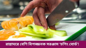 শাক-সবজি কাটছেন চপিং বোর্ডে, হেঁশেলের সবচেয়ে বেশি বিপজ্জনক সরঞ্জাম বলছে গবেষণা! 