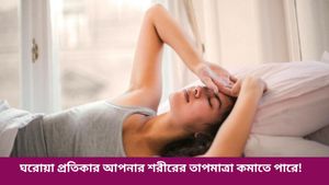 প্রচণ্ড গরমে শরীর ঠাণ্ডা রাখুন এই ঘরোয়া উপায়ে! কীভাবে জানুন     