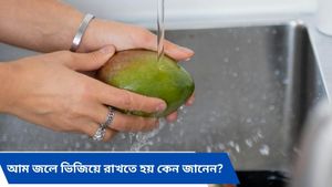  গ্রীষ্মের দিনে দেদার খাচ্ছেন আম, কিন্তু খাওয়ার আগে জলে ভিজিয়ে রাখছেন তো?  