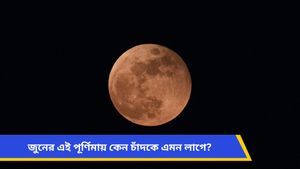 বিরল মহাজাগতিক দৃশ্য! আকাশে জ্বলজ্বল করবে 'স্ট্রবেরি মুন', কীভাবে দেখবেন জানুন 