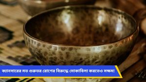 সুস্বাস্থ্য বজায় রাখতে প্লাস্টিক নয় বরং তামার পাত্রে খান জল, জানুন এর উপকারিতা! 