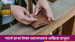 মানিব্যাগে ছবি, পুরনো বিল? আপনার অজান্তেই মা লক্ষ্মী হচ্ছেন রুষ্ট! সাবধান