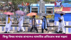 ভ্যাপসা গরমে ঘামাচির উপদ্রব? ঘরোয়া উপায়ে কীভাবে জব্দ করবেন জানুন 