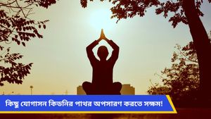 কিডনির পাথর থেকে বাঁচতে যোগাসনই ওষুধ? জানুন 