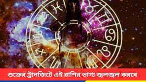 এক বছর পর স্বরাশিতে আসছে শুক্র, এই ট্রানজিটে মা লক্ষ্মী কৃপা বর্ষাবে তিন রাশিতে 