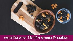 প্রোটিনের ঘাটতি-হজমে সমস্যা? নিয়মিত খান এক মুঠো কালো কিশমিশ, রয়েছে বহুমুখী উপকারিতা!   