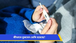 বর্ষার শুরুতে বারবার জ্বর আসছে, সঙ্গে মাথা ব্যথা? বাড়ছে ডেঙ্গি নিয়ে উদ্বেগ, সতর্ক থাকুন   