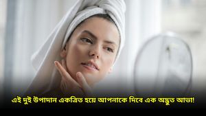 বর্ষাকাল আসতেই গায়েব ত্বকের উজ্জ্বলতা, ভরসা রাখুন প্রাকৃতিক এই দুই উপাদানে 