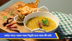 সকাল বিকাল বৃষ্টিতে বাড়িতেই বানিয়ে নিন মন ভালো করার খিচুরি, রইল রেসিপি