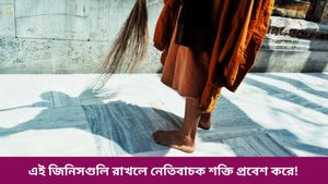 বাড়িতে ঢোকার মুখেই এইসব জিনিস রাখতে সাবধান, হতে পারে বাস্তু দোষ! দেখুন 