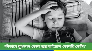 বৃষ্টির পরই দিল্লিতে ডেঙ্গির ঝুঁকি বাড়ে, জেনে নিন ডেঙ্গির উপসর্গ ও চিকিৎসা   