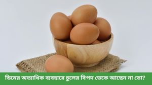 প্রত্যেক সপ্তাহে চুলের সৌন্দর্য বাড়াতে ডিম ব্যবহার করছেন, জানেন এর পার্শ্বপ্রতিক্রিয়া সম্পর্কে?