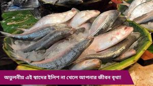 ভাপা-ঝোল ভুলে বাড়িতে বানান ইলিশের এই পাতুরি, এমন স্বাদের তুলনা নেই!  