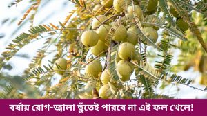 বর্ষায় ইমিউনিটি বাড়াতে রোজ খান এই ফল, পাবেন আশ্চর্যজনক উপকারিতা, জানুন 