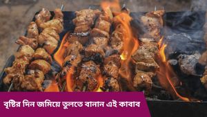 লোভনীয় এই কাবাব এখন বাড়িতেই বানিয়ে ফেলুন, রেস্তোরাঁয় যাওয়ার প্রয়োজনই থাকবে না!
